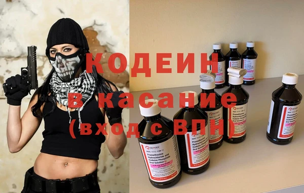 эйфоретик Вяземский