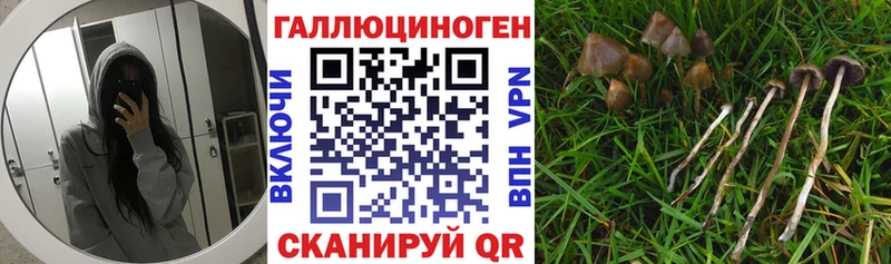 даркнет сайт  Полысаево  darknet официальный сайт  Галлюциногенные грибы Psilocybe 