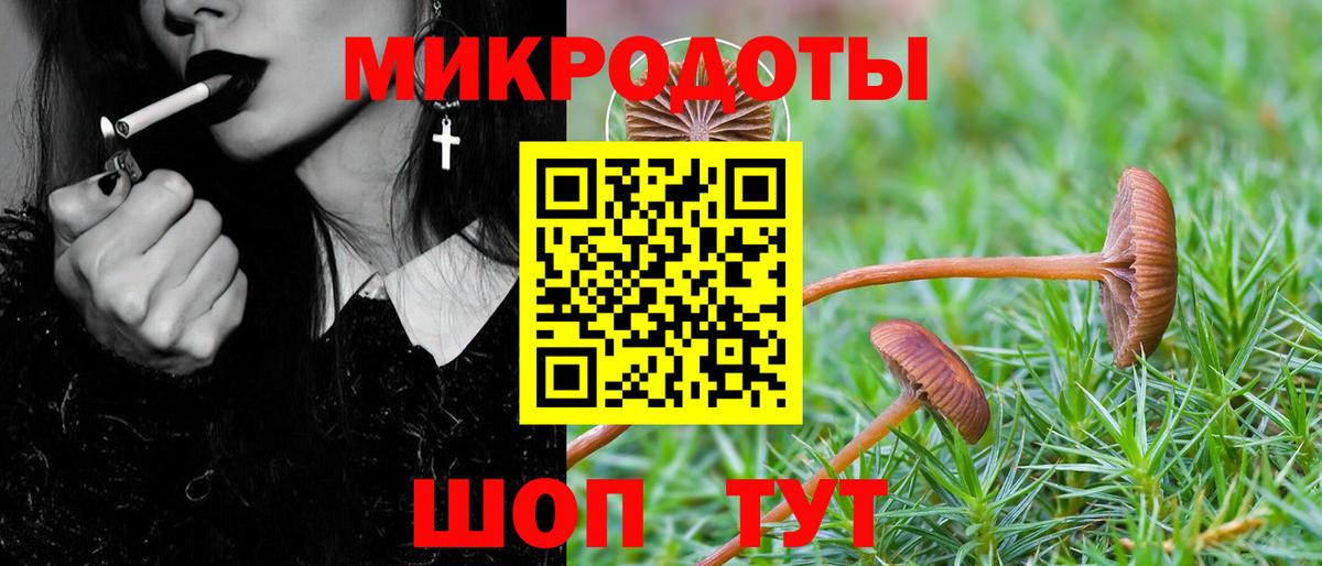 Полысаево  Галлюциногенные грибы мицелий  Галлюциногенные грибы прущие грибы  Вход с VPN 