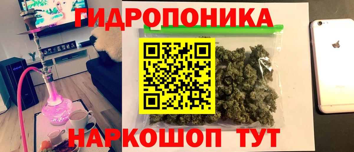 Бошки марихуана AK-47  Вход с VPN  Конопля MAZAR  Полысаево  Конопля гибрид 